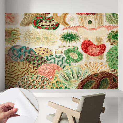 Carta da parati autoadesiva moderna - fotomurale - lavabile - ufficio - design moderno - Forme organiche 104x70 cm (1/5)
