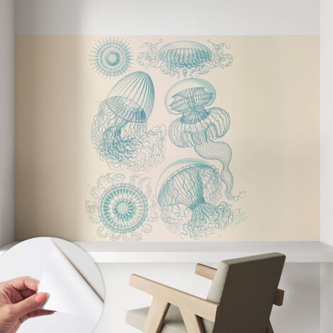 Carta da parati autoadesiva moderna - fotomurale - lavabile - ufficio - design moderno - Meduse marine 104x70 cm (1/5)
