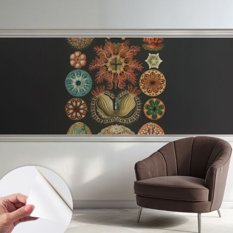 Carta da parati autoadesiva - fotomurale - alta qualità - per la cucina - camera da letto - Ispirazioni marine 250x104 cm (1/5)