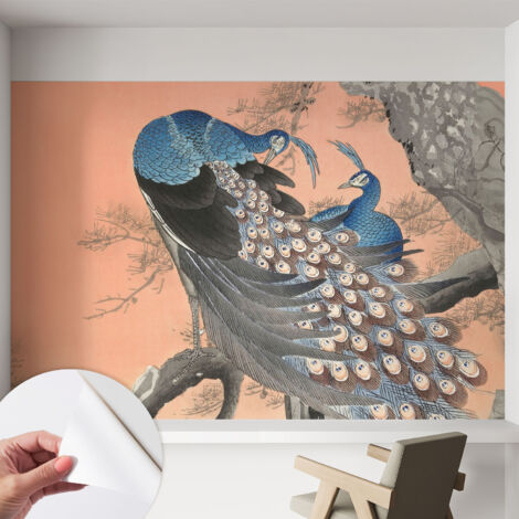 Fotomurale adesivo stickers - per camera da letto - per corridoio - decorazione casa moderna Eleganza del pavone 152x104 cm