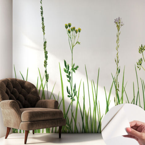 Carta da parati autoadesiva - Fotomurale adesivo - design elegante - stile moderno - Flora delicata 250x250 cm (1/5)