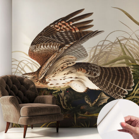 Fotomurale adesivo - parete decorativa - decorazione casa - stile moderno parete - Bellezza alata 250x250 cm (1/5)