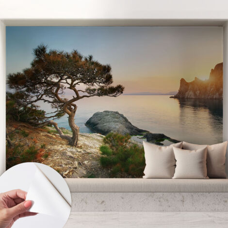 Carta da parati autoadesiva - Fotomurale adesivo - soggiorno moderno - resistente - Natura tranquilla 208x146 cm (1/5)