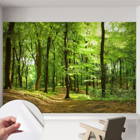 Carta da parati autoadesiva - Fotomurale adesivo - soggiorno moderno - resistente - Sentiero naturale 152x104 cm (1/5)