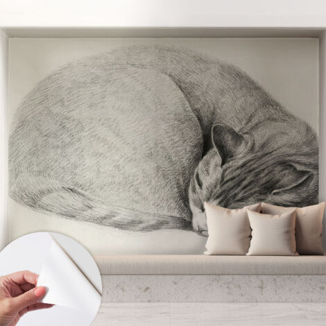 Carta da parati autoadesiva - Fotomurale adesivo - design elegante - stile moderno - Gatto raggomitolato 208x146 cm (1/5)