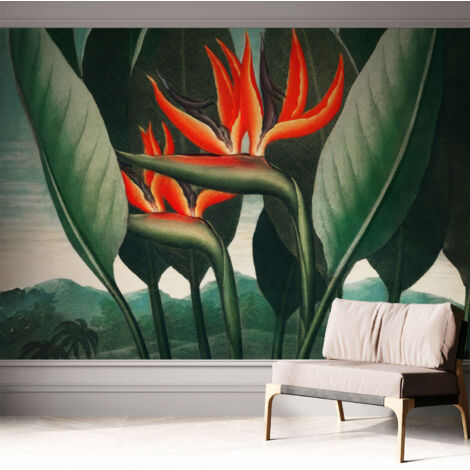Carta da parati autoadesiva - Fotomurale adesivo - soggiorno moderno - resistente - Fiori esotici 312x219 cm (1/5)