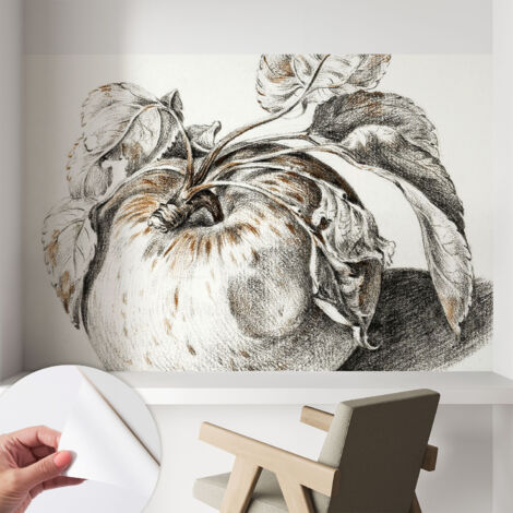 Fotomurale adesivo stickers - murali decorativo - soggiorno moderno - effetto realistico - Foglie di melo 104x70 cm (1/5)