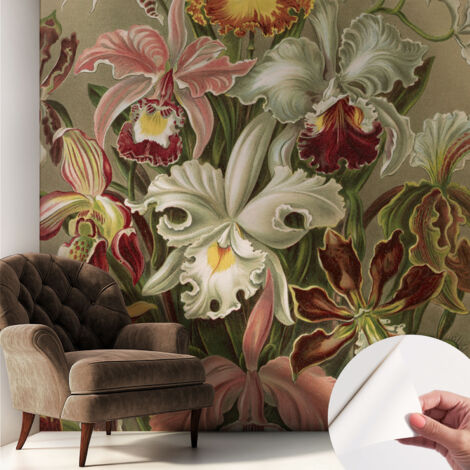 Carta da parati autoadesiva - Fotomurale adesivo - soggiorno moderno - resistente - Eleganza floreale 250x250 cm