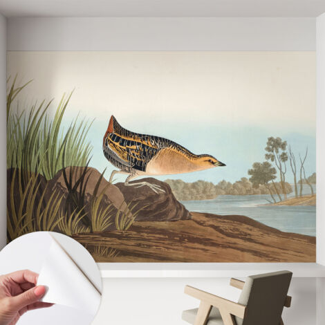 Carta da parati autoadesiva - fotomurale - alta qualità - per la cucina - camera da letto - Scena naturale 152x104 cm (1/5)