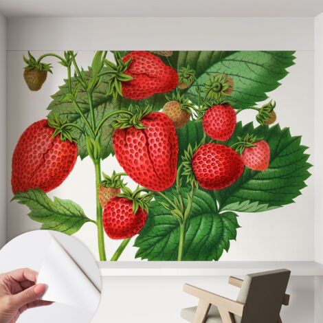 Fotomurale adesivo - Carta da parati adesiva - per la cucina camera da letto per la soggiorno - Frutta estiva 152x104 cm (1/5)