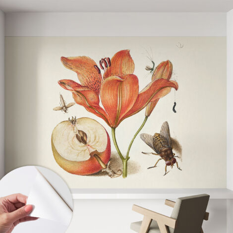 Carta da parati autoadesiva - impermeabile - murale da parete - decorazione murale - Illustrazione botanica 152x104 cm (1/5)