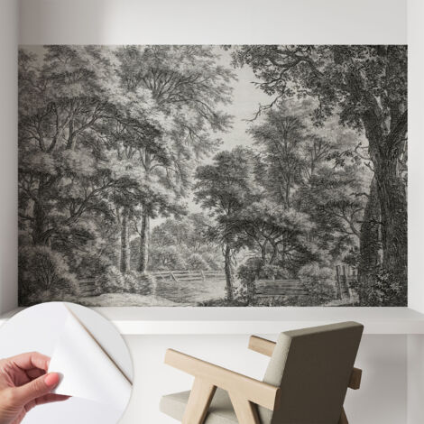 Fotomurale adesivo - Carta da parati adesiva - per la cucina camera da letto per la soggiorno - Scena boschiva 104x70 cm