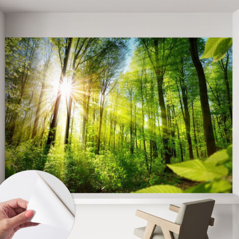 Carta da parati adesiva - lavabile - decorazione murale - per cucina - pellicola decorativa Luce del bosco 152x104 cm