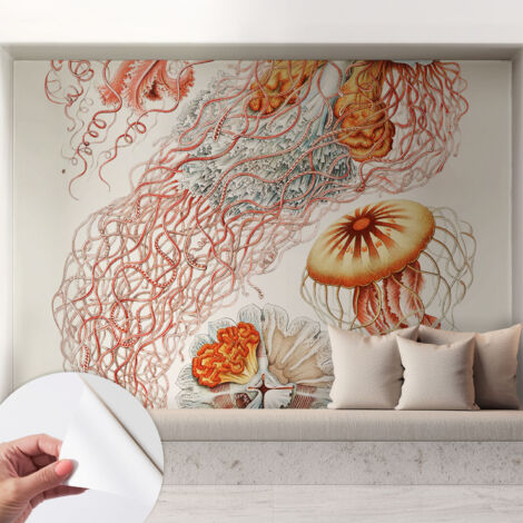 Carta da parati autoadesiva - Fotomurale adesivo - design elegante - stile moderno - Meduse fantastiche 208x146 cm (1/5)