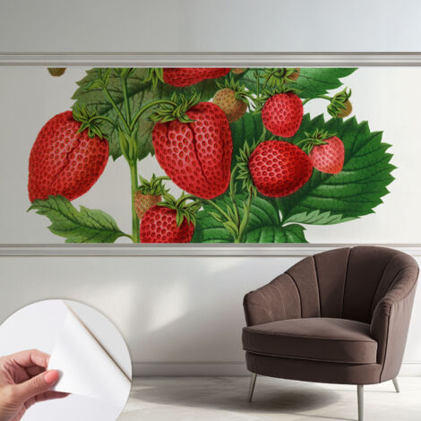 Fotomurale adesivo - murale da parete - Carta da parati autoadesiva - design parete moderno - Frutta estiva 250x104 cm (1/5)