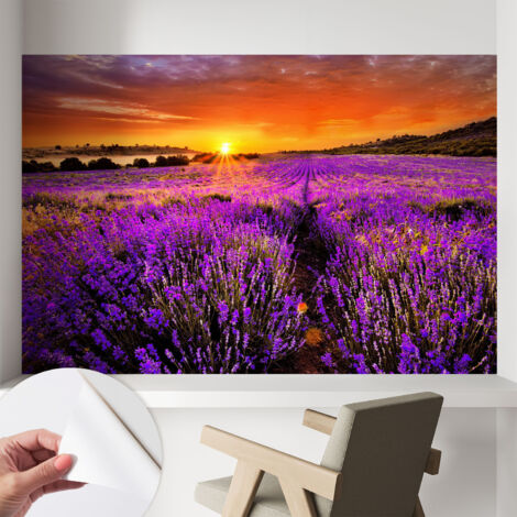 Carta da parati adesiva - lavabile - decorazione murale - per cucina - pellicola decorativa Tramonto color lavanda 104x70 cm