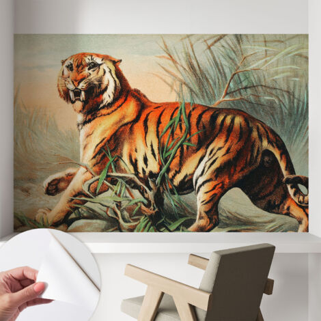 Carta da parati autoadesiva - fotomurale - decorazione parete - stile elegante - decorazione casa - Tigre nella natura 104x70 cm