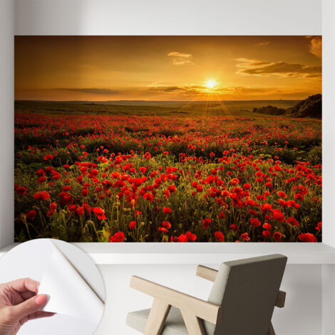 Fotomurale adesivo stickers - murali decorativo - soggiorno moderno - effetto realistico - Campo di papaveri 104x70 cm (1/5)