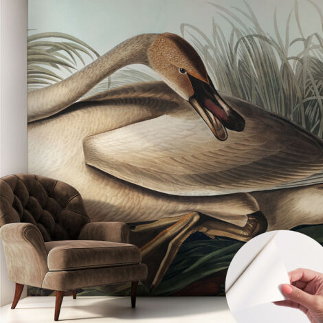 Carta da parati adesiva - lavabile - decorazione murale - per cucina - pellicola decorativa Uccello naturale 250x250 cm (1/5)