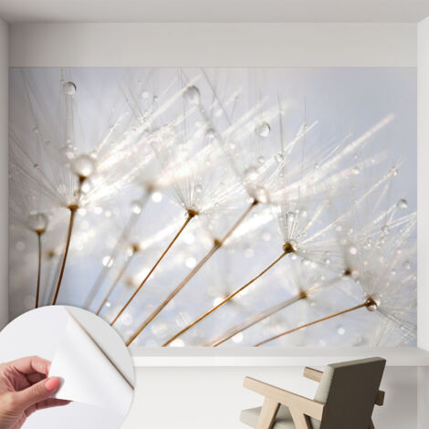 Carta da parati autoadesiva - fotomurale - decorazione parete - stile elegante - decorazione casa - Puffino rugiadoso 152x104 cm (1/5)