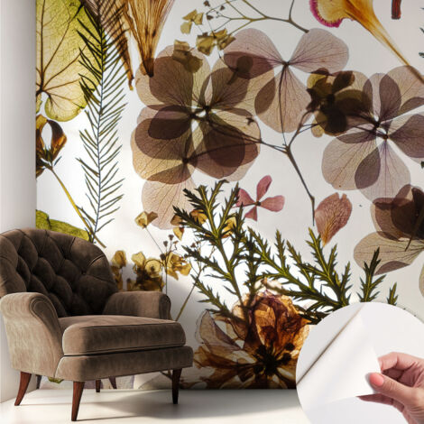 Carta da parati adesiva - fotomurale - facile da applicare - per la soggiorno - camera da letto - Composizione naturale 250x250 cm (1/5)