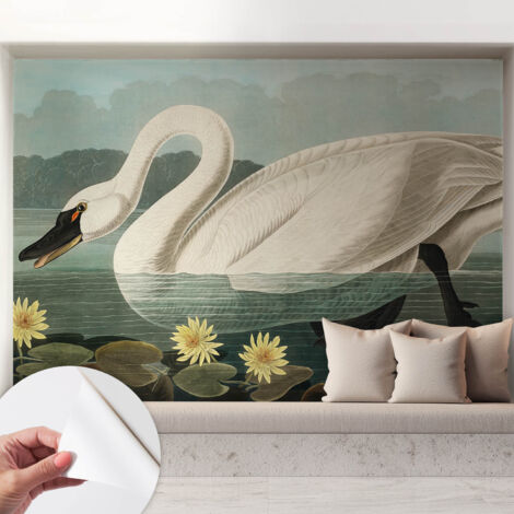 Carta da parati autoadesiva - fotomurale - decorazione parete - stile elegante - decorazione casa - Cigno e ninfee 208x146 cm (1/5)