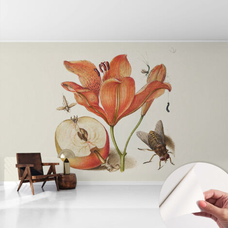 Carta da parati autoadesiva - fotomurale - alta qualità - per la cucina - camera da letto - Illustrazione botanica 416x254 cm (1/5)