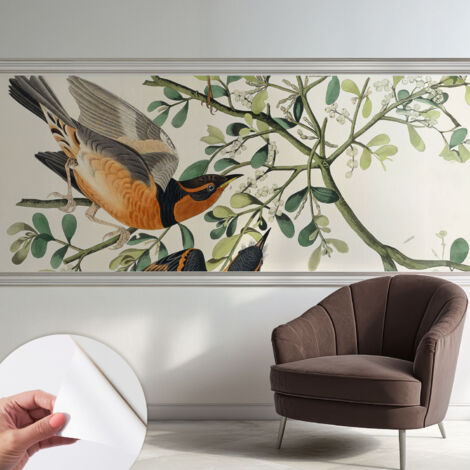 Carta da parati autoadesiva - impermeabile - murale da parete - decorazione murale - Uccelli colorati 250x104 cm (1/5)