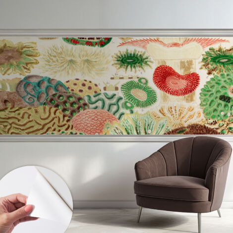 Carta da parati autoadesiva moderna - fotomurale - lavabile - ufficio - design moderno - Forme organiche 250x104 cm (1/5)