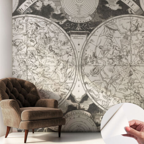 Carta da parati adesiva - fotomurale - facile da applicare - per la soggiorno - camera da letto - Mappa stellare 250x250 cm (1/5)