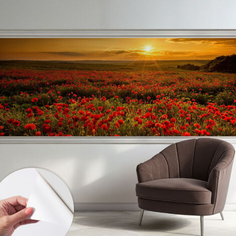 Fotomurale adesivo stickers - per camera da letto - per corridoio - decorazione casa moderna Campo di papaveri 250x104 cm (1/5)