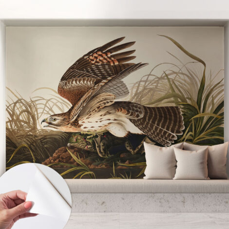 Fotomurale adesivo stickers - murali decorativo - soggiorno moderno - effetto realistico - Bellezza alata 208x146 cm (1/5)