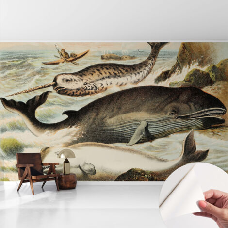 Fotomurale adesivo stickers - murali decorativo - soggiorno moderno - effetto realistico - Giganti marini 416x254 cm (1/5)