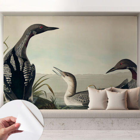 Fotomurale adesivo stickers - murali decorativo - soggiorno moderno - effetto realistico - Uccelli sull'acqua 208x146 cm (1/5)