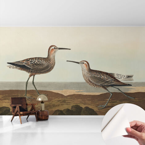 Fotomurale adesivo stickers - per camera da letto - per corridoio - decorazione casa moderna Silhouette di uccelli 416x254 cm (1/5)