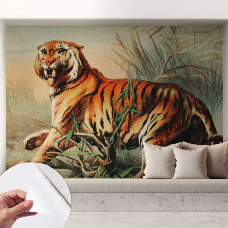 Carta da parati autoadesiva - Fotomurale adesivo - design elegante - stile moderno - Tigre nella natura 208x146 cm