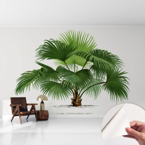 Carta da parati autoadesiva - Fotomurale adesivo - design elegante - stile moderno - Palma esotica 416x254 cm (1/5)