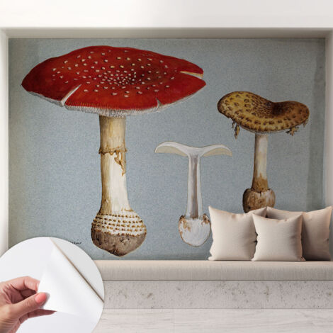 Carta da parati autoadesiva - impermeabile - murale da parete - decorazione murale - Incisi di funghi 208x146 cm (1/5)