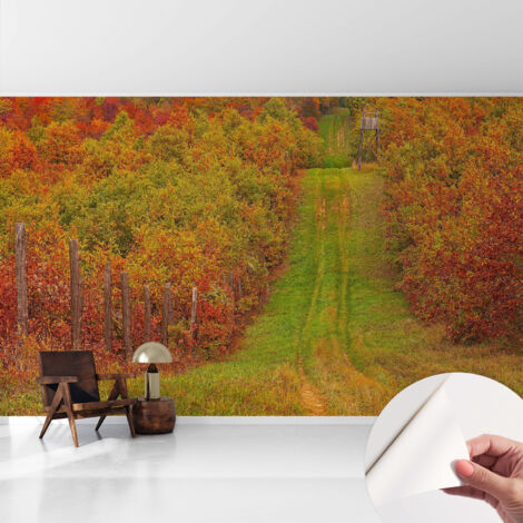 Fotomurale adesivo stickers - per camera da letto - per corridoio - decorazione casa moderna Colori autunnali 416x254 cm (1/5)