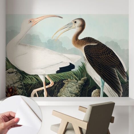 Carta da parati autoadesiva - fotomurale - decorazione parete - stile elegante - decorazione casa - Coppia di uccelli 104x70 cm (1/5)