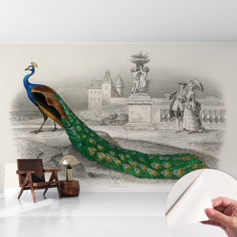 Carta da parati autoadesiva - Fotomurale adesivo - design elegante - stile moderno - Piume colorate 416x254 cm (1/5)