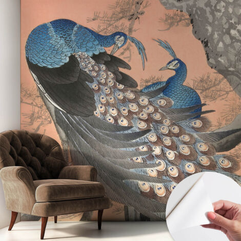 Carta da parati adesiva - fotomurale - facile da applicare - per la soggiorno - camera da letto - Eleganza del pavone 250x250 cm (1/5)