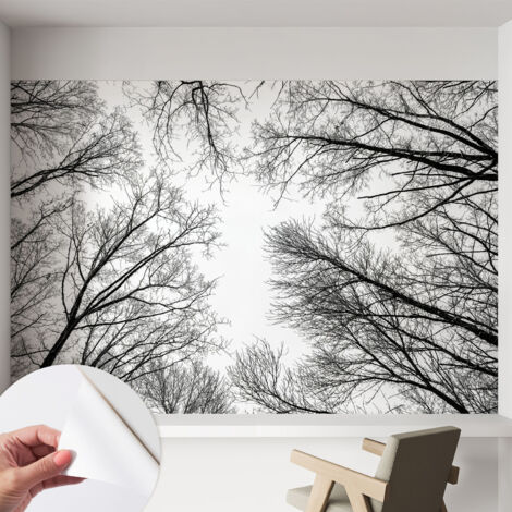 Carta da parati adesiva - lavabile - decorazione murale - per cucina - pellicola decorativa Rami spogli 152x104 cm