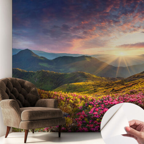 Carta da parati adesiva - fotomurale - facile da applicare - per la soggiorno - camera da letto - Panorama di montagna 250x250 cm (1/5)