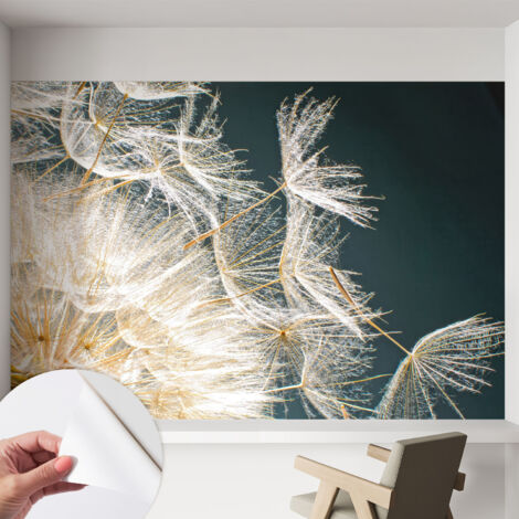Fotomurale adesivo - parete decorativa - decorazione casa - stile moderno parete - Puffball di leggerezza 152x104 cm