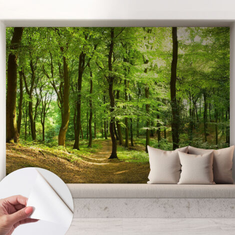 Carta da parati autoadesiva - Fotomurale adesivo - soggiorno moderno - resistente - Sentiero naturale 208x146 cm (1/5)