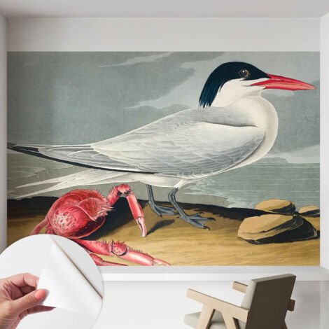 Carta da parati adesiva - fotomurale - facile da applicare - per la soggiorno - camera da letto - Scenario marino 152x104 cm (1/5)