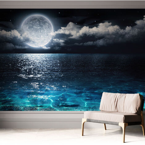 Carta da parati adesiva - fotomurale - facile da applicare - per la soggiorno - camera da letto - Mare notturno 312x219 cm (1/5)