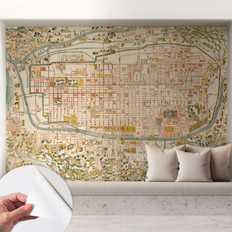 Carta da parati autoadesiva - fotomurale - decorazione parete - stile elegante - decorazione casa - Mappa antica 208x146 cm (1/5)