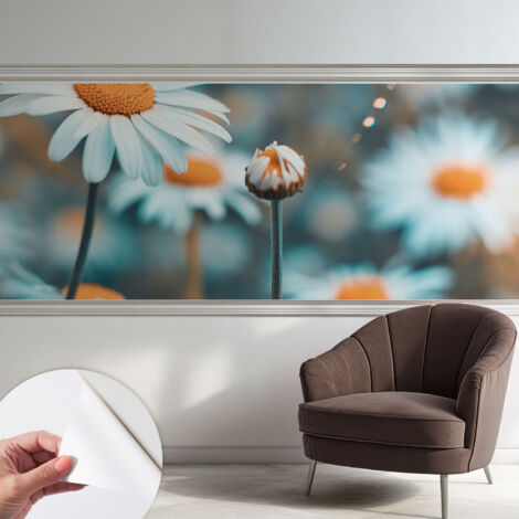 Carta da parati autoadesiva - Fotomurale adesivo - design elegante - stile moderno - Delicatezza di camomilla 250x104 cm (1/5)